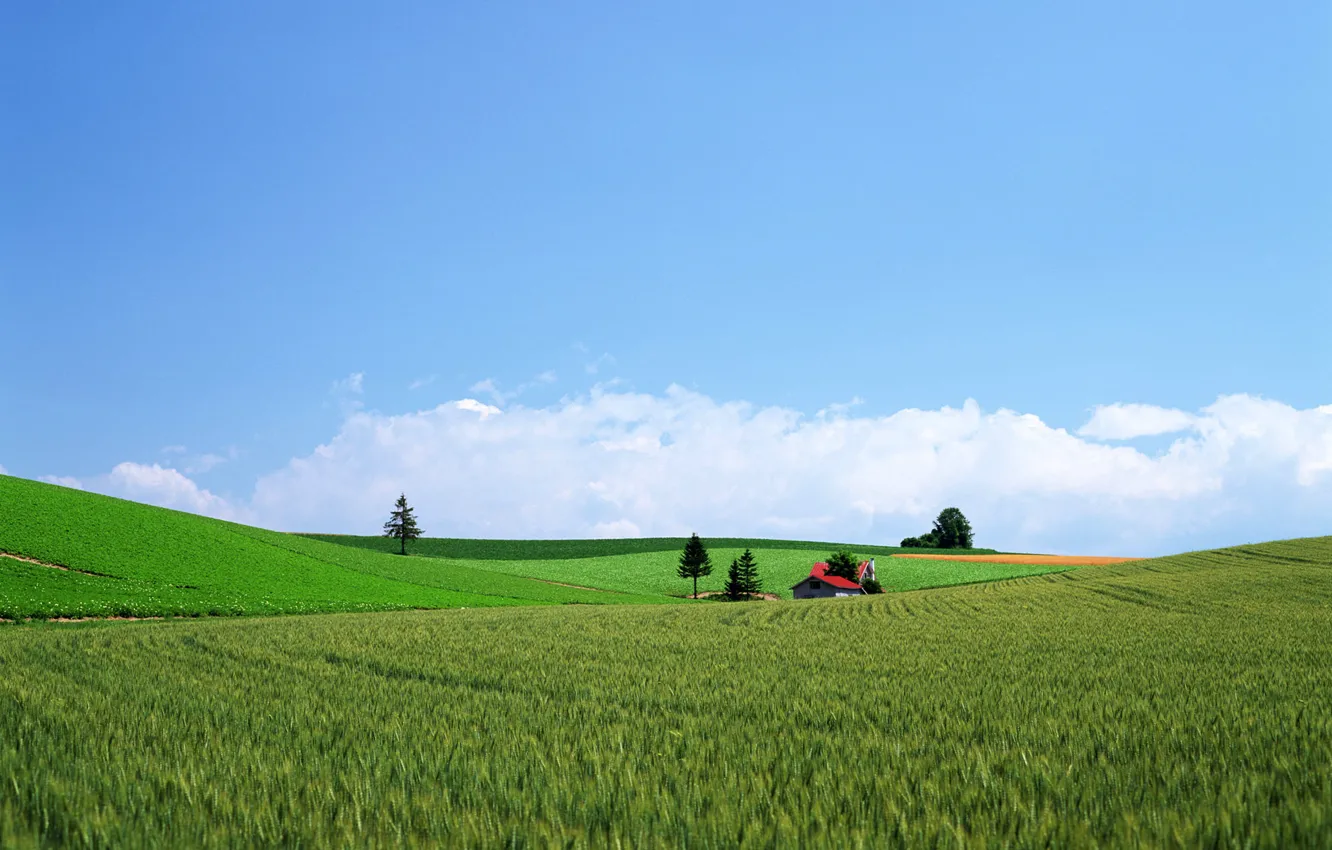 Photo wallpaper nature, farm, Town