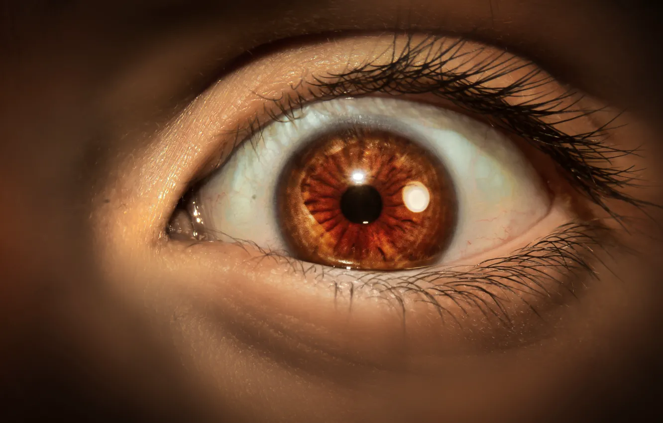 Photo wallpaper eyes, look, eyelashes, the pupil, closeup