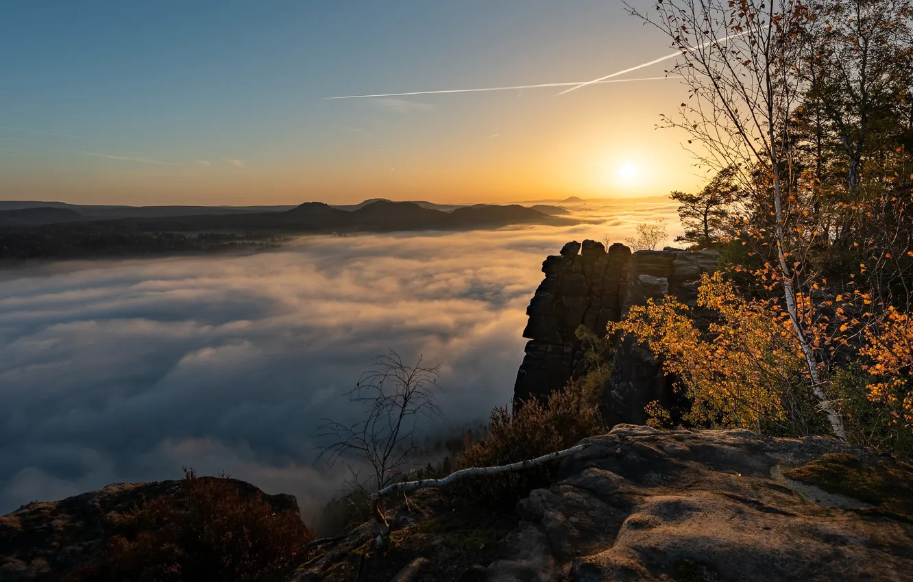 Photo wallpaper autumn, the sky, the sun, mountains, branches, fog, rocks, dawn