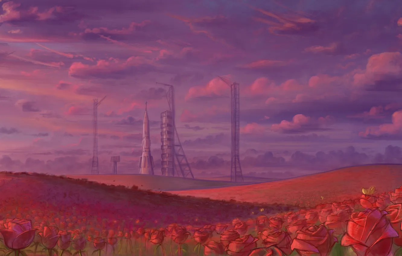Photo wallpaper field, the sky, roses, rocket, spaceport
