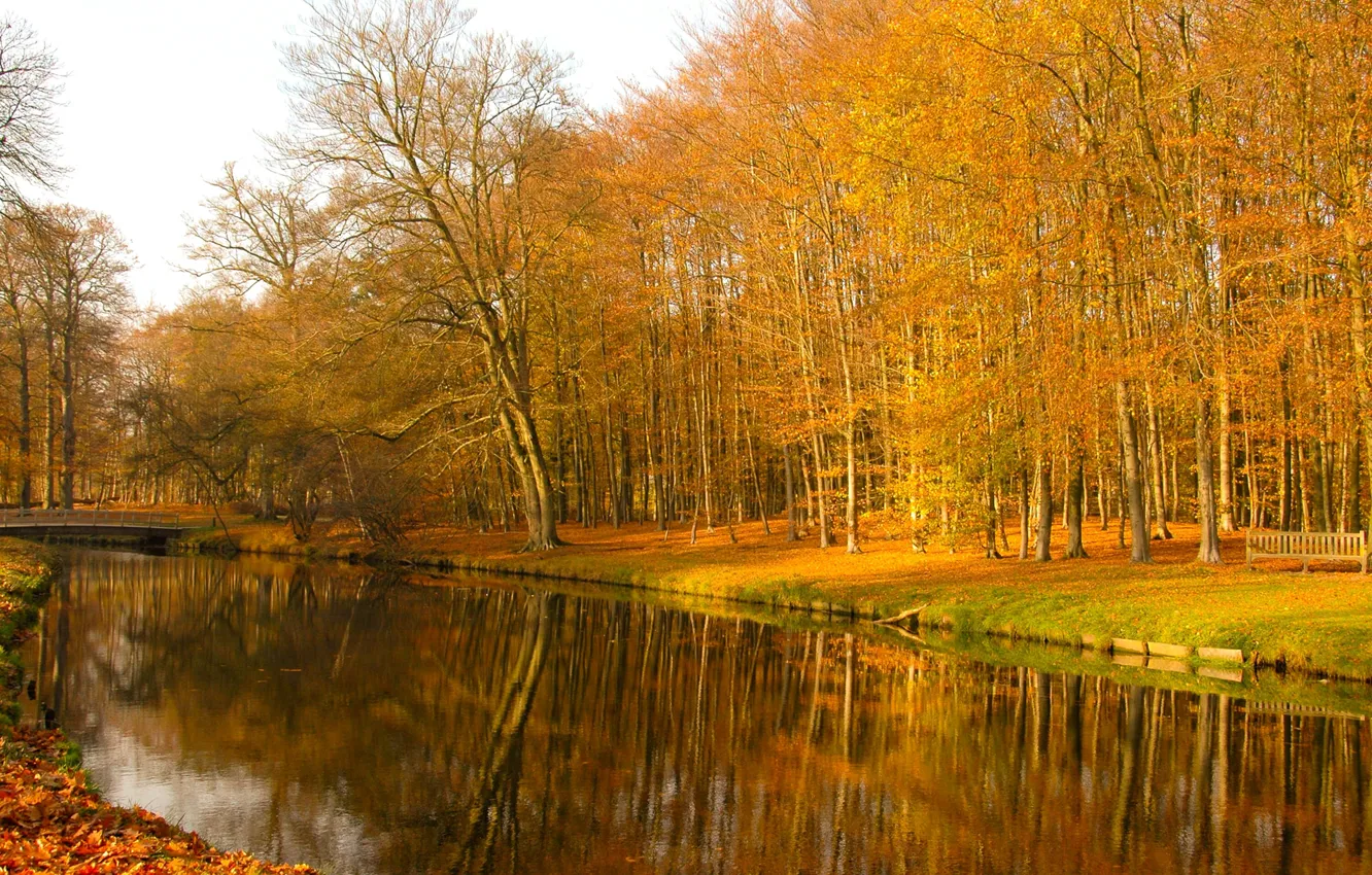 Photo wallpaper autumn, forest, bridge, pond, Park, river