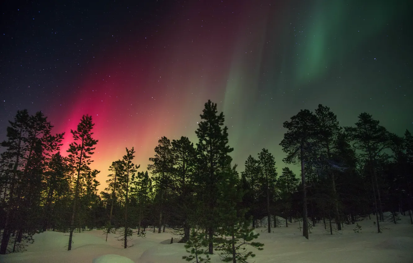 Photo wallpaper winter, snow, trees, red, glow, Northern lights, green, Finland