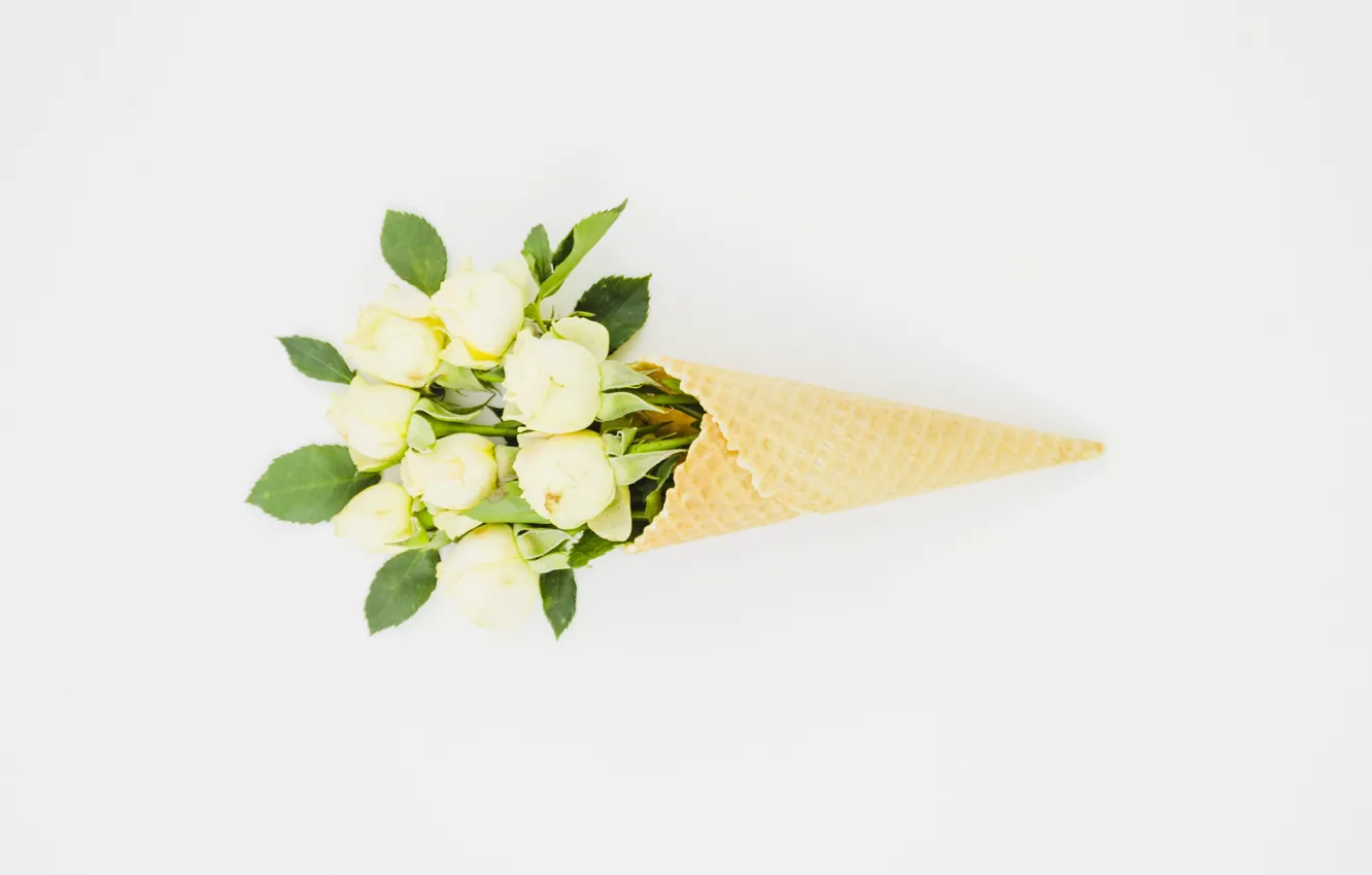 Photo wallpaper roses, bouquet, white, waffle cone