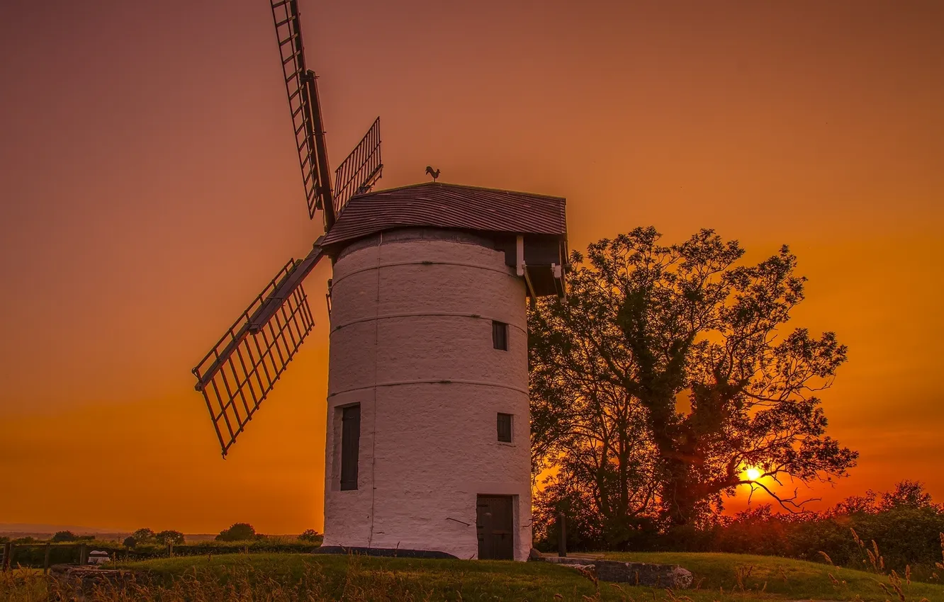 Photo wallpaper sunset, tree, England, England, windmill