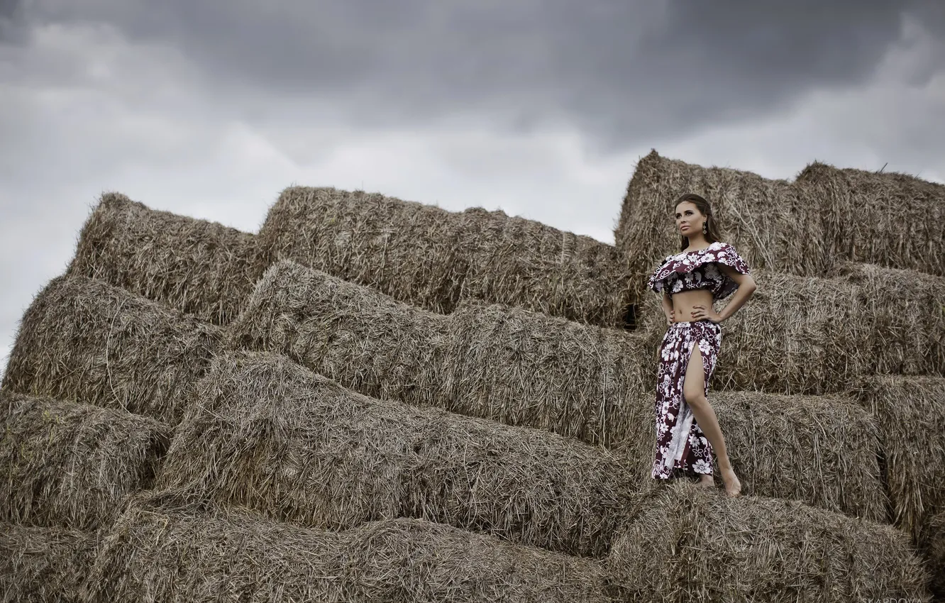 Photo wallpaper girl, actress, hay, girl, woman, Yulia Mikhalkov