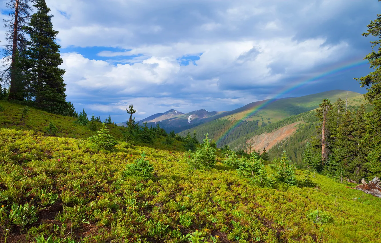Photo wallpaper greens, forest, clouds, mountains, vegetation, rainbow, dal, slope