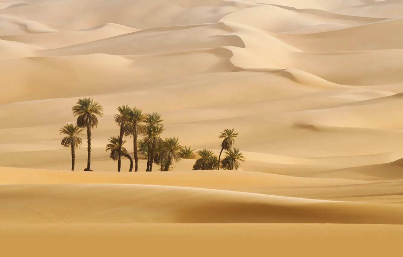 Photo wallpaper Nature, Wallpaper, Sands, Dune, Desert