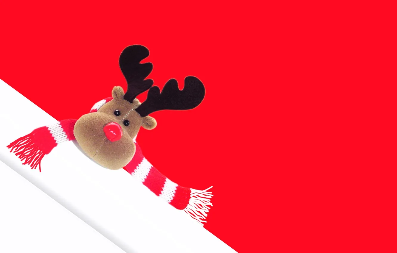 Photo wallpaper head, deer, scarf, slope, soft toy