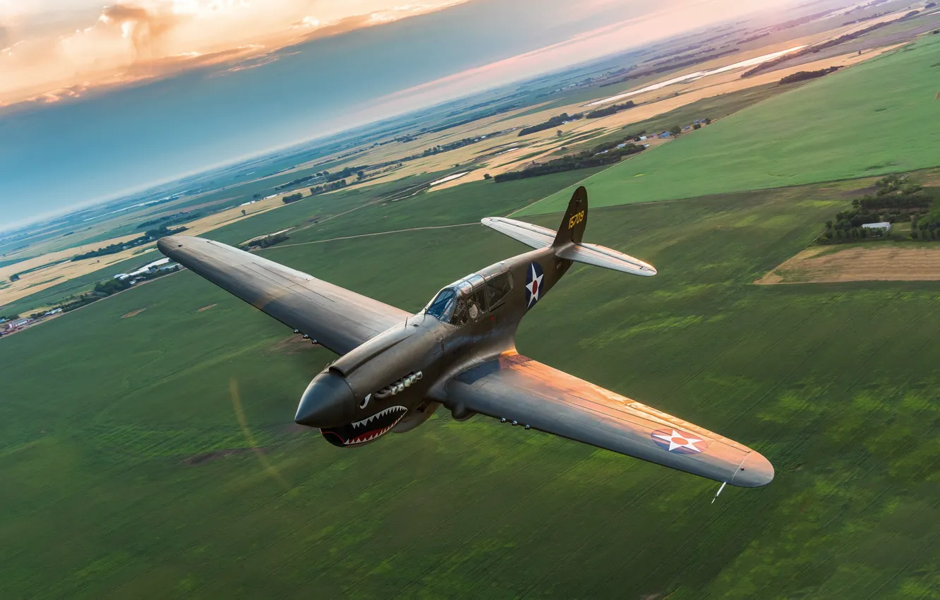 Photo wallpaper flight, fighter, P-40, Warhawk