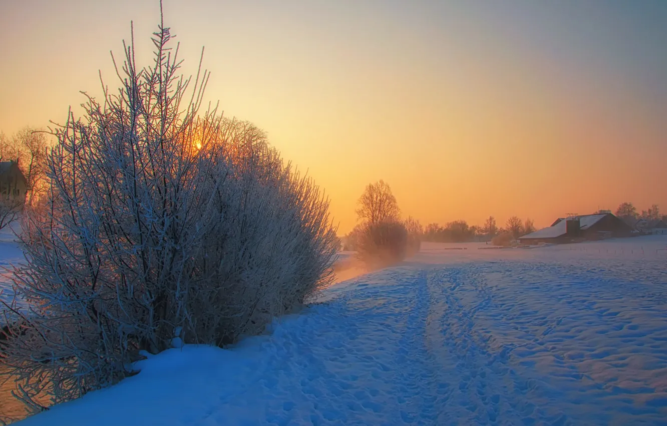 Photo wallpaper river, trees, winter, snow, morning, fog, houses, sunrise