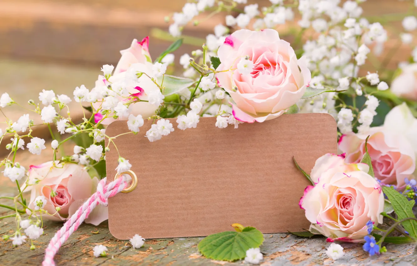 Photo wallpaper roses, petals, buds, pink, flowers, romantic, roses