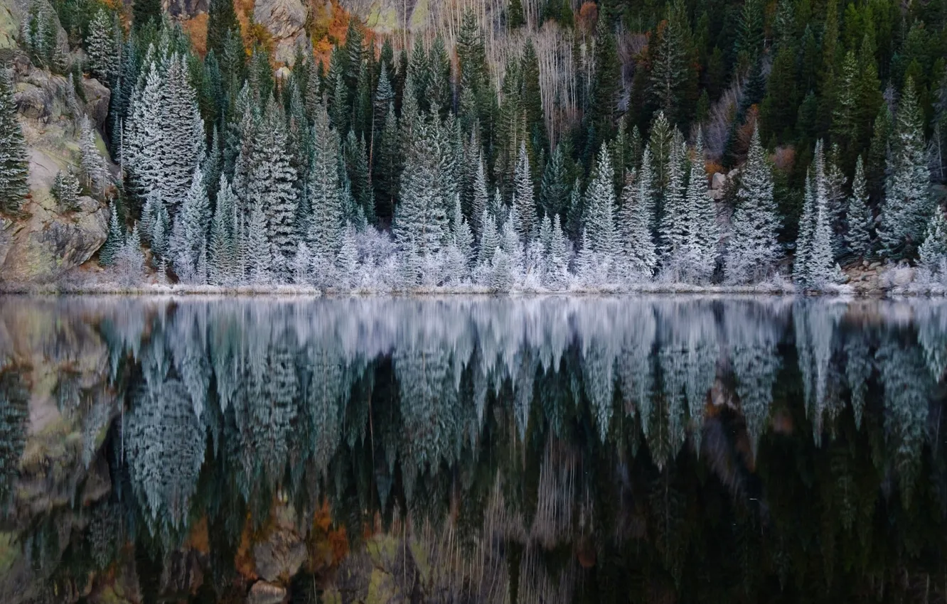 Photo wallpaper frost, forest, lake, reflection, spruce, slope