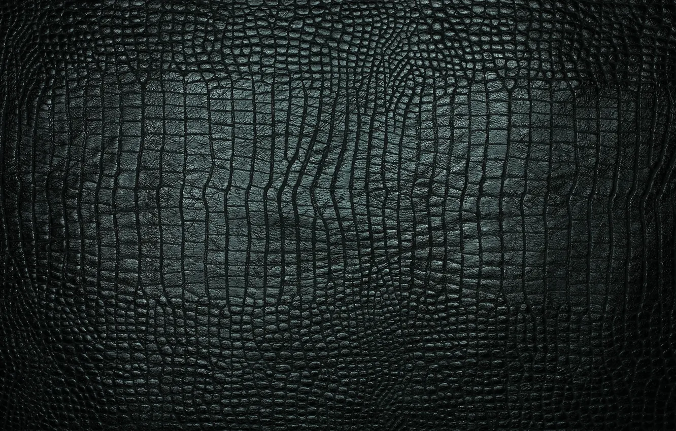 Photo wallpaper texture, leather, crocodile, black