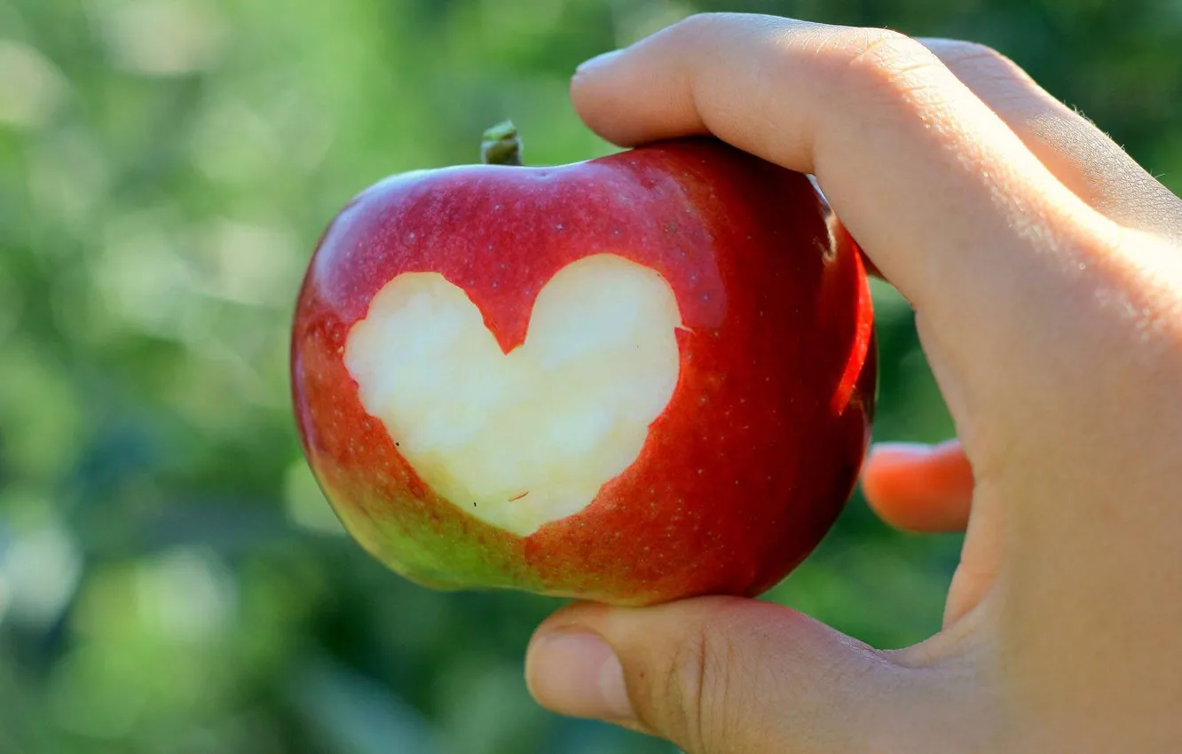 Photo wallpaper heart, Apple, hand