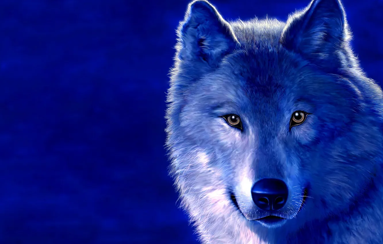 Photo wallpaper blue, figure, wolf