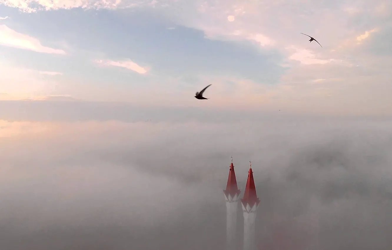 Photo wallpaper roof, the sky, flight, birds, clouds, fog, tower, dal