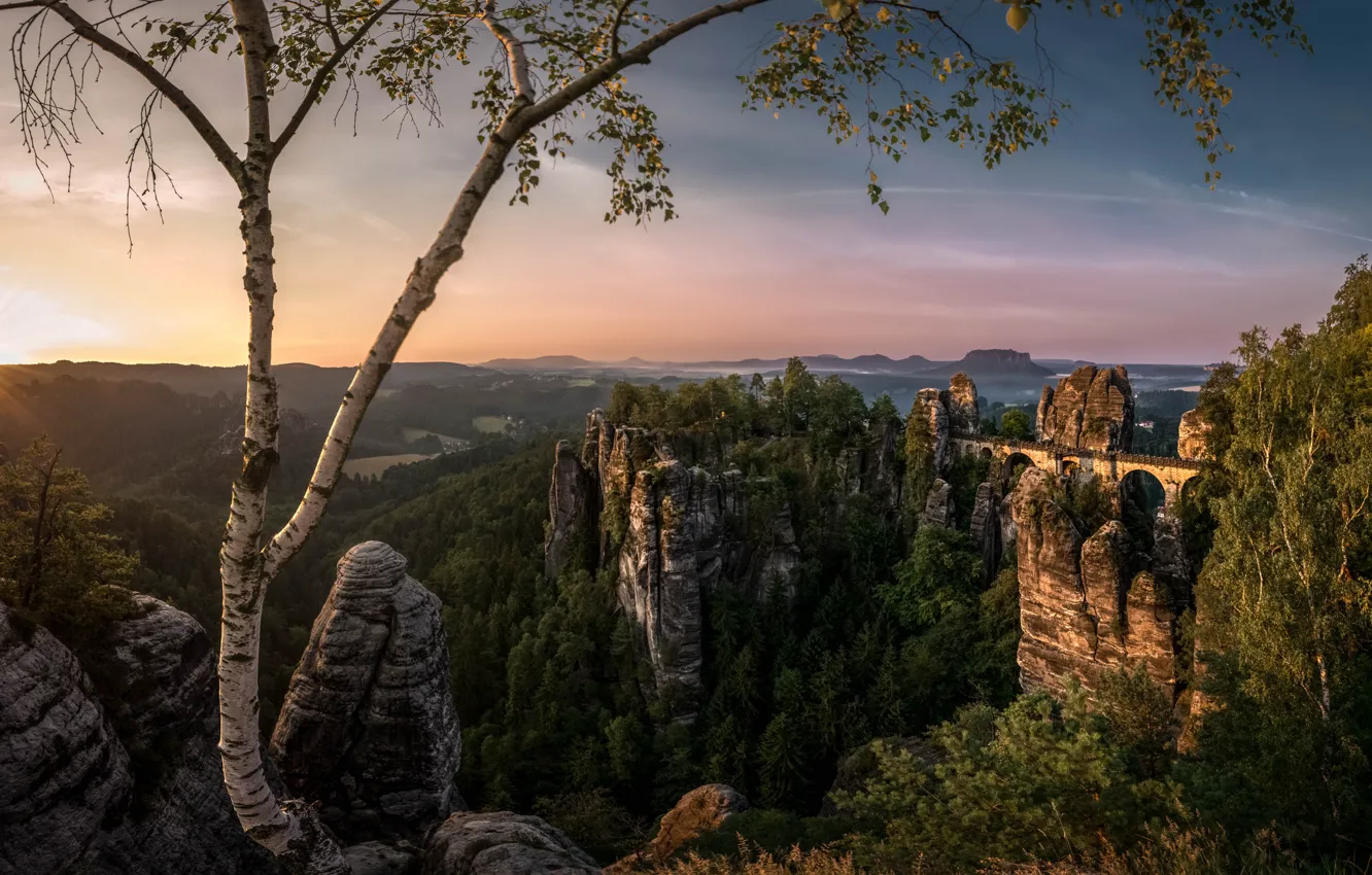 Photo wallpaper forest, the sun, rays, trees, landscape, mountains, bridge, nature