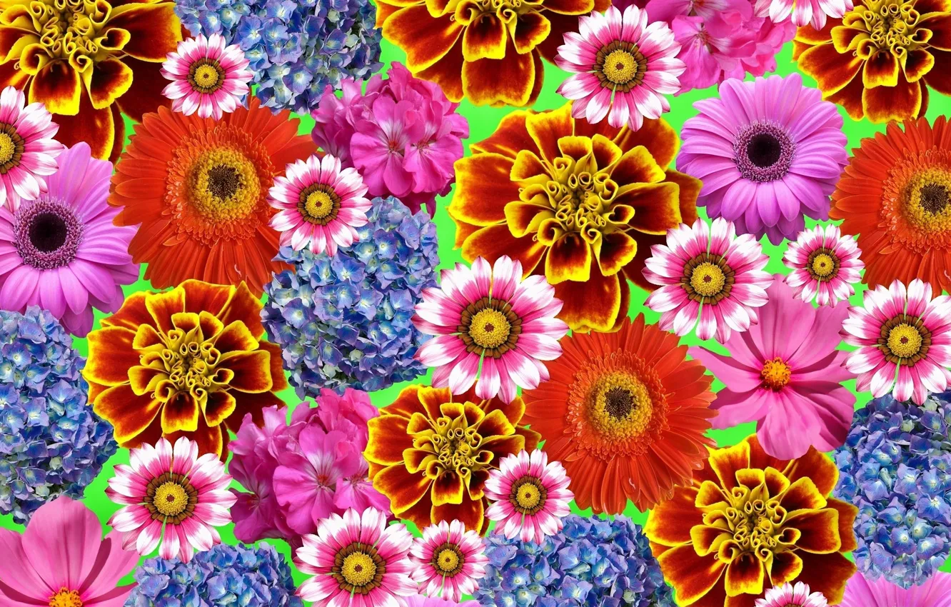 Photo wallpaper flowers, texture, different