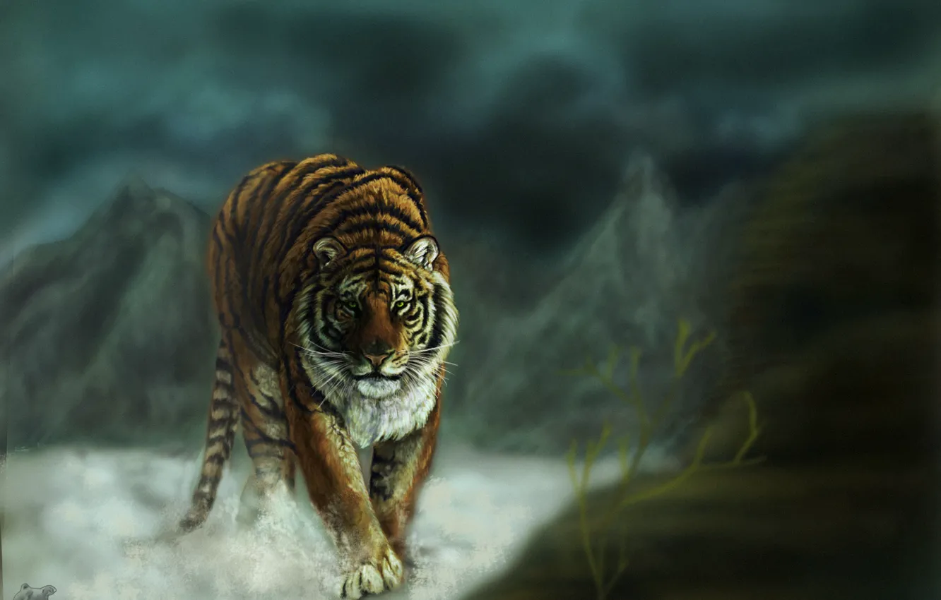 Photo wallpaper cat, look, tiger