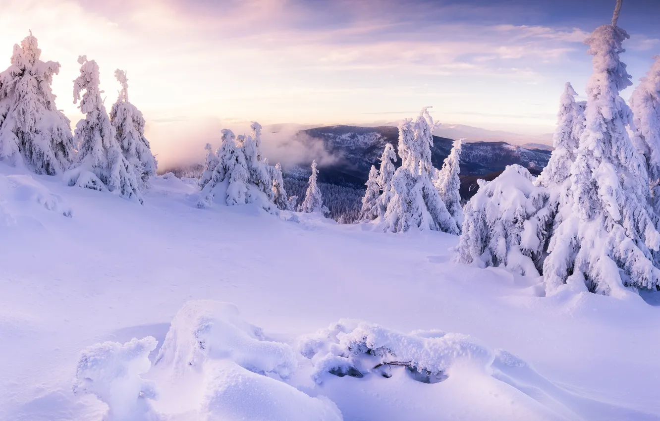 Photo wallpaper winter, forest, the sky, clouds, snow, mountains, nature, in the snow