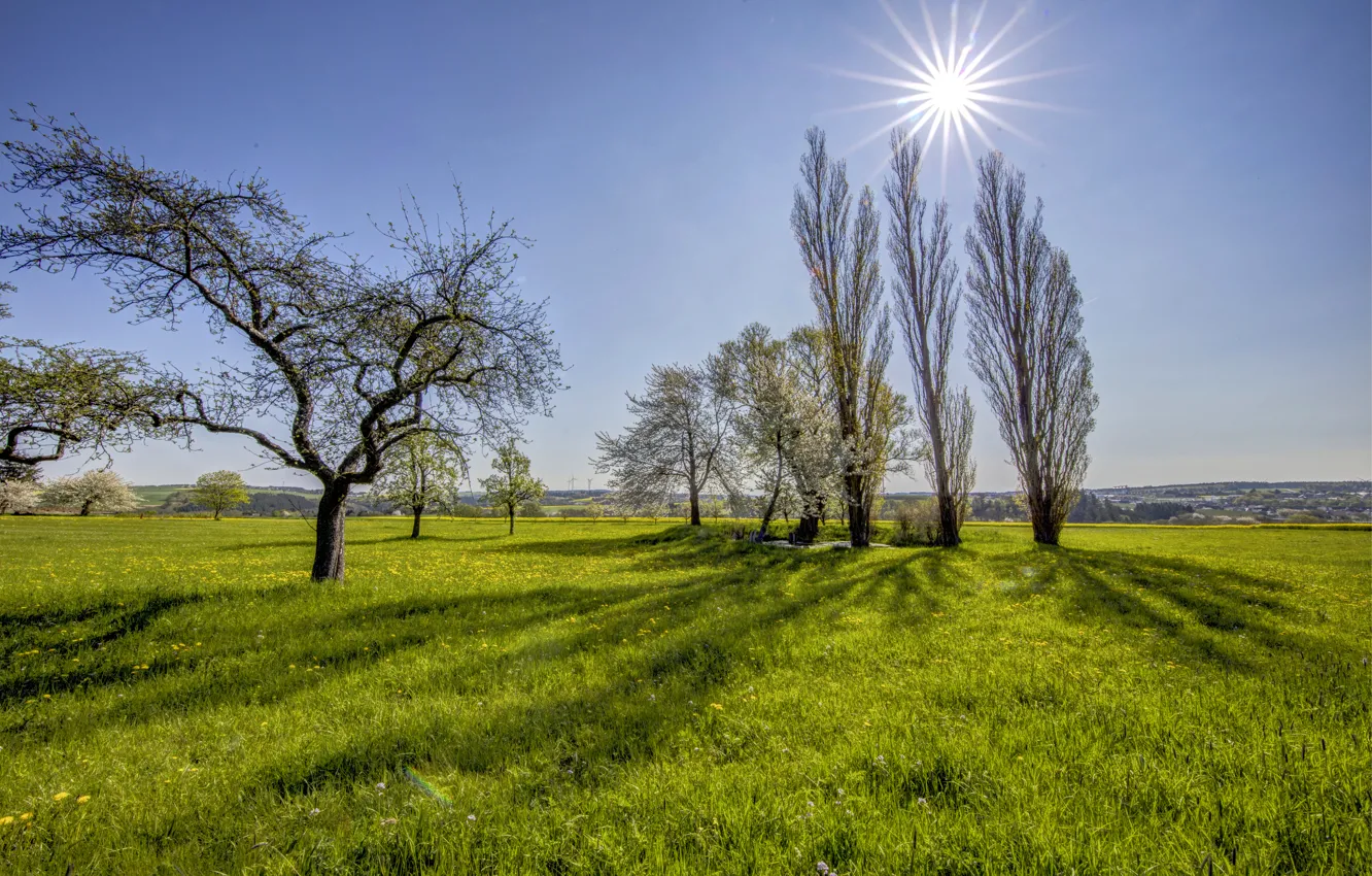 Photo wallpaper field, the sky, grass, the sun, rays, trees, spring, Germany