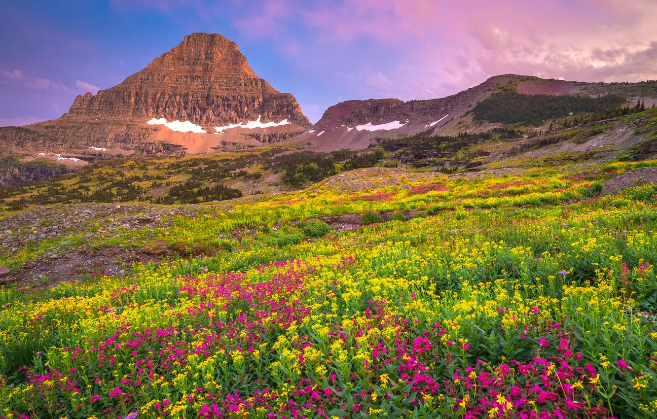 Photo wallpaper landscape, mountains, nature, USA, Glacier National Park