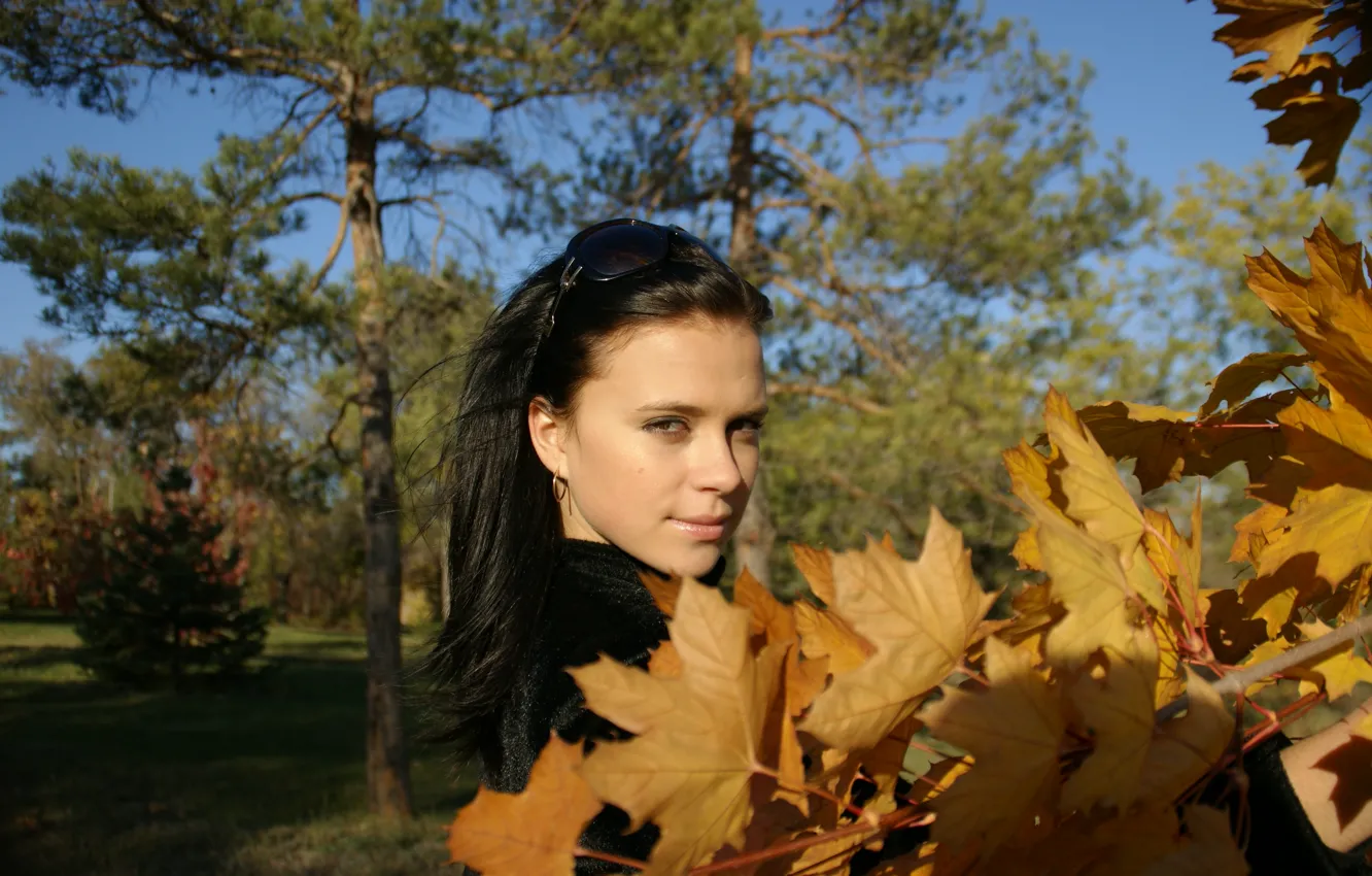 Photo wallpaper autumn, leaves, trees, Maria