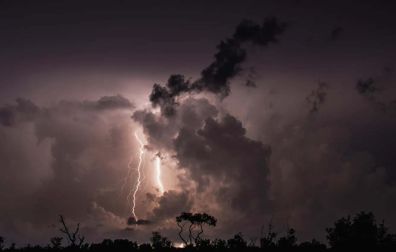 Photo wallpaper the storm, clouds, trees, night, clouds, lightning, silhouette