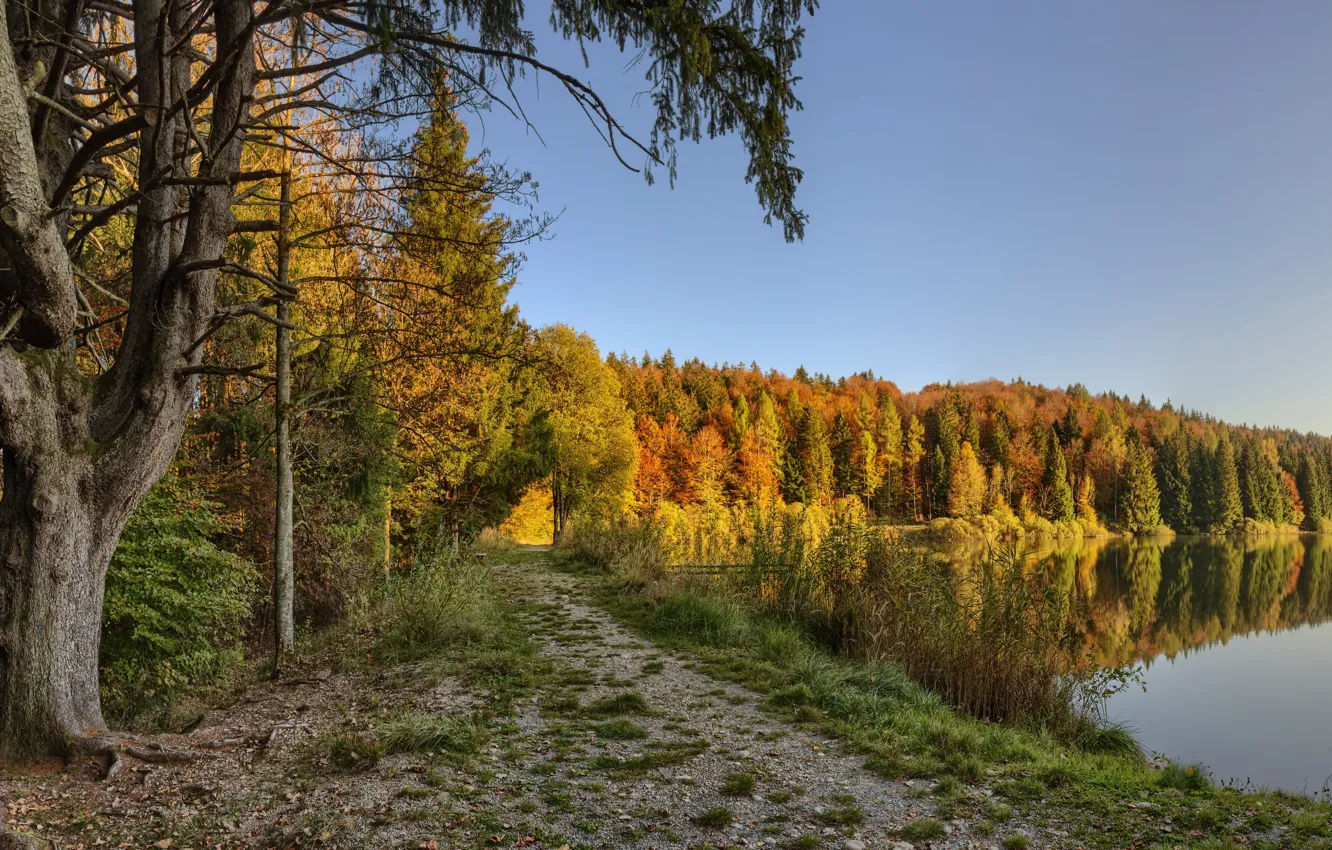 Photo wallpaper autumn, forest, lake