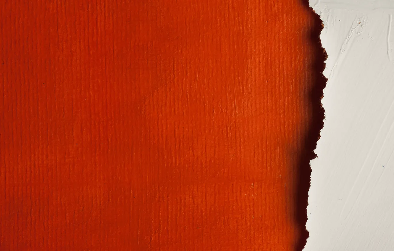 Photo wallpaper wall, paint, drywall