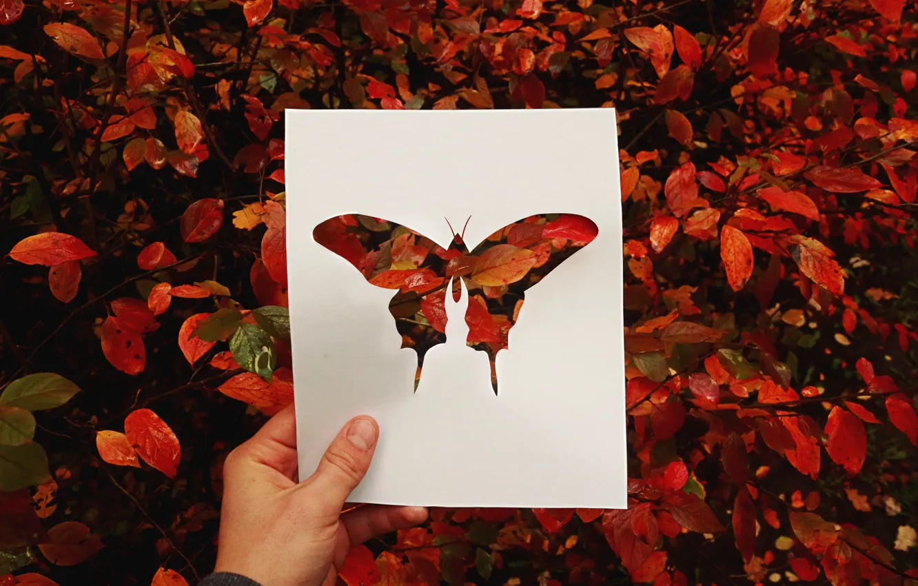 Photo wallpaper autumn, leaves, red, butterfly, silhouette
