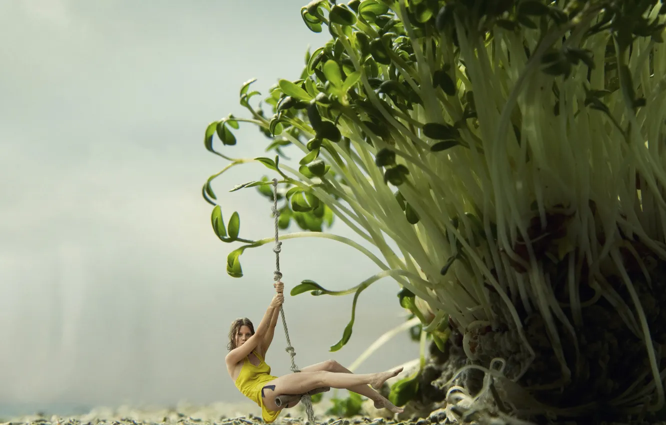 Photo wallpaper look, girl, swing, stem, brown hair