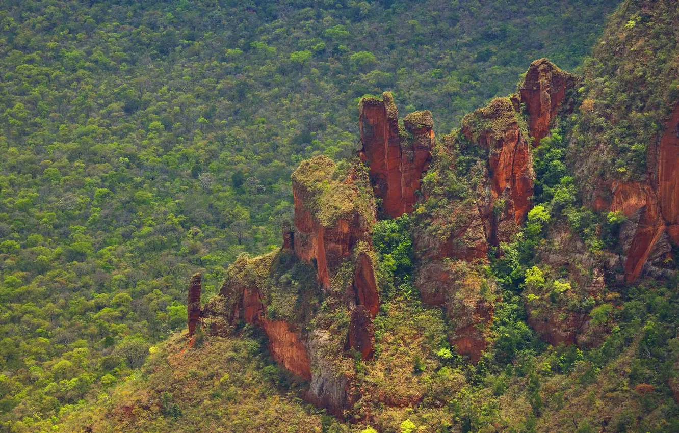 Photo wallpaper trees, mountains, rocks, Brazil, reserve, National park of Chapada dos Guimarães, the state of Mato …
