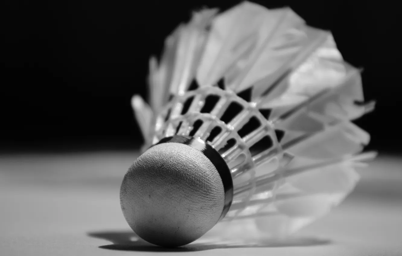 Photo wallpaper plastic, feathers, Badminton