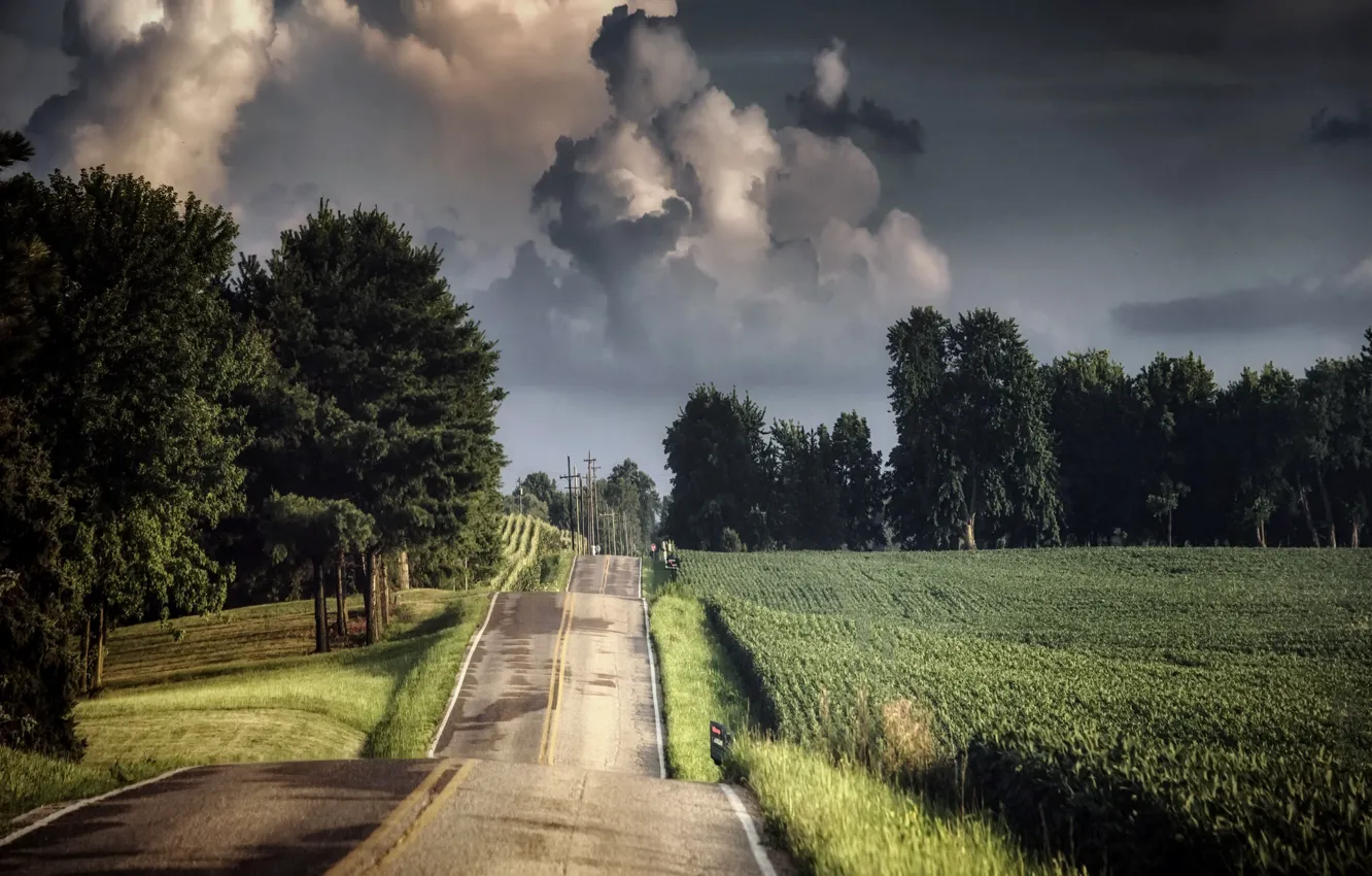 Photo wallpaper road, summer, the sky