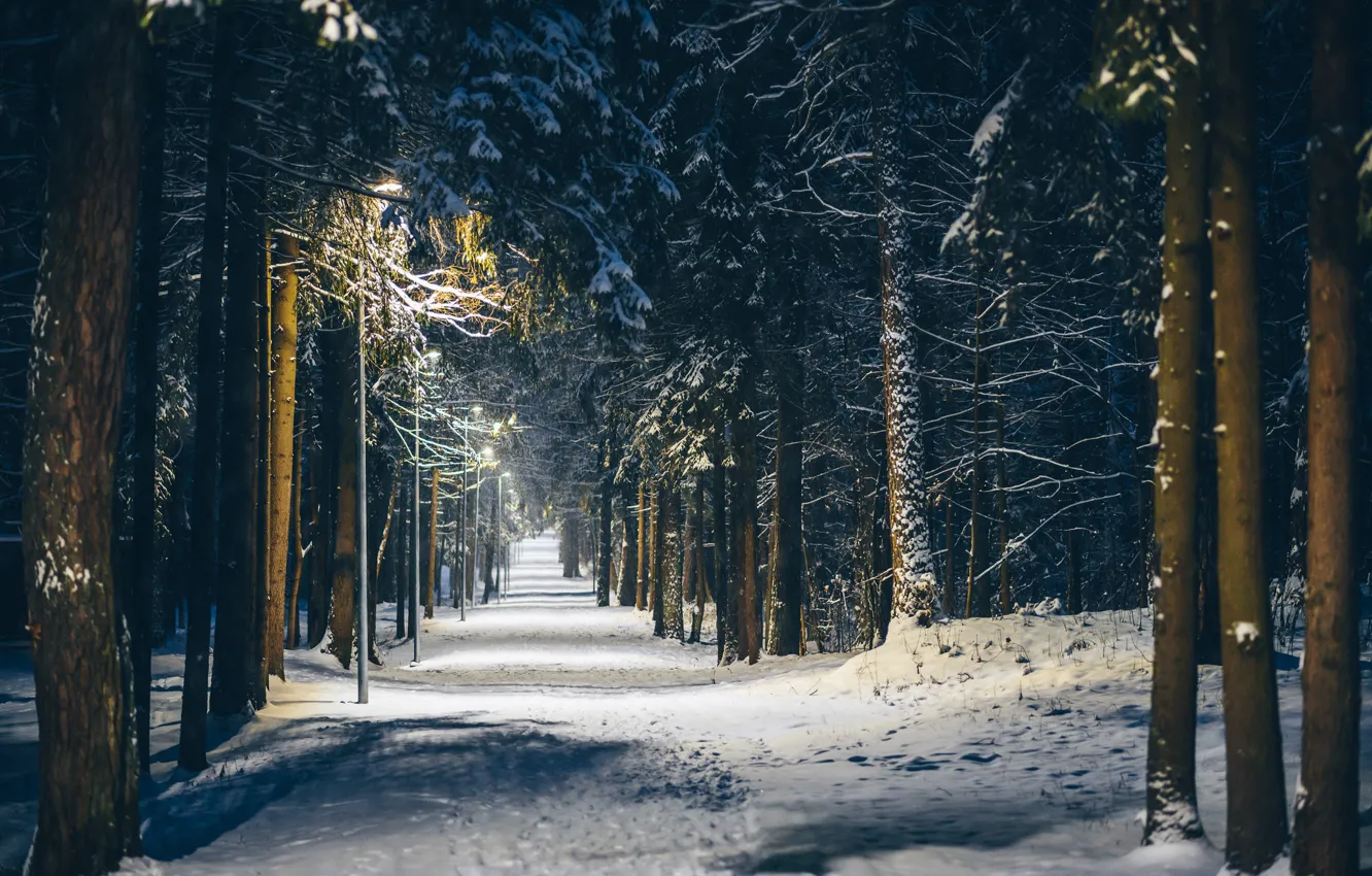 Photo wallpaper winter, the city, Park