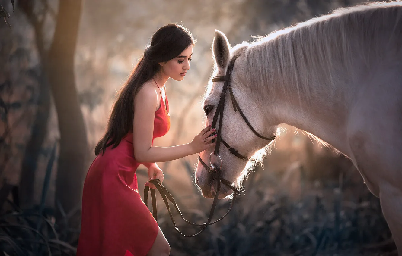 Photo wallpaper girl, nature, animal, horse, horse, dress, brunette, Natalia Arantseva