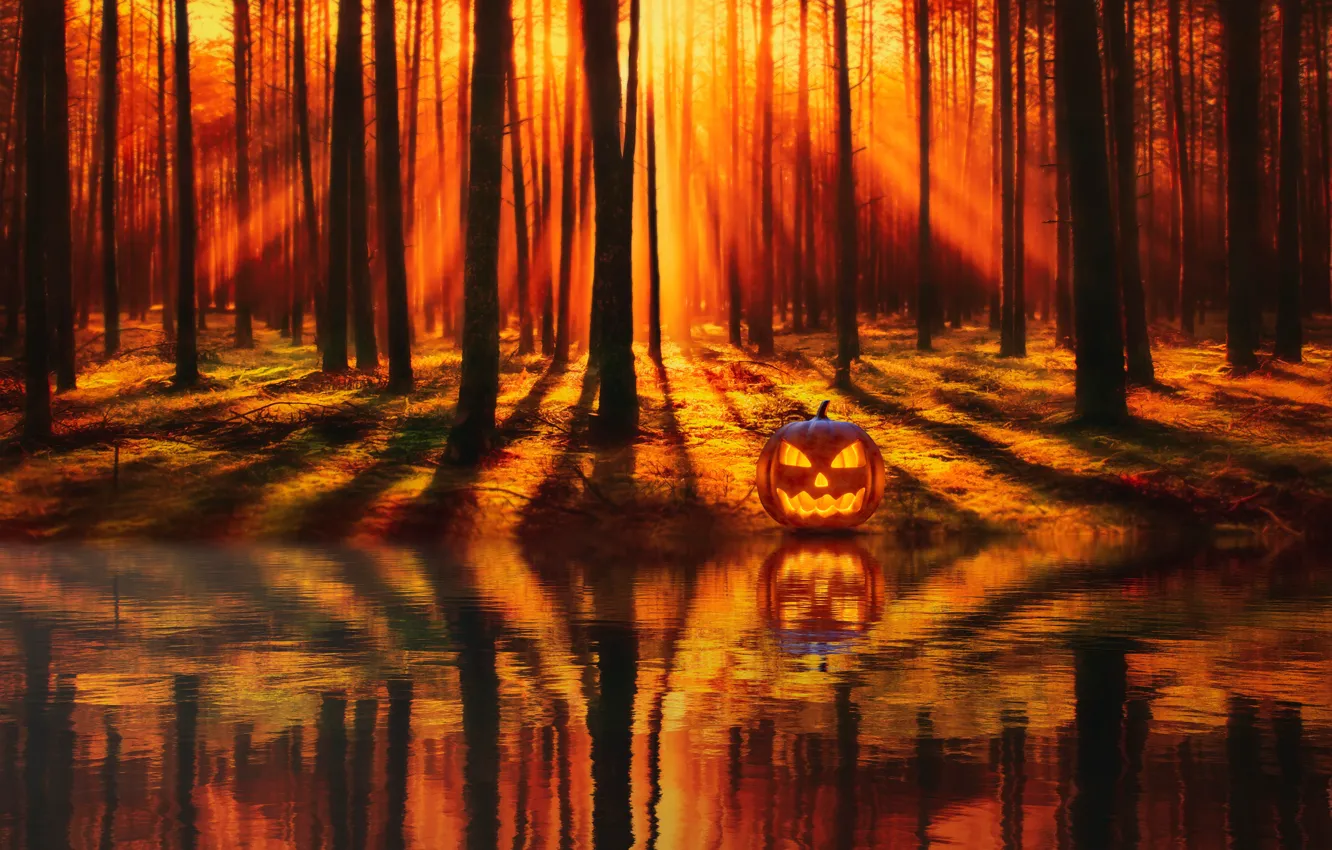 Photo wallpaper Nature, Trees, Pumpkin, Halloween, Halloween, Nature, Holiday, Celebration