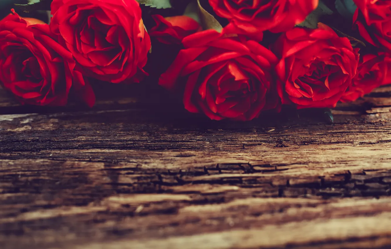 Photo wallpaper flowers, red, roses, red, wood, flowers, roses