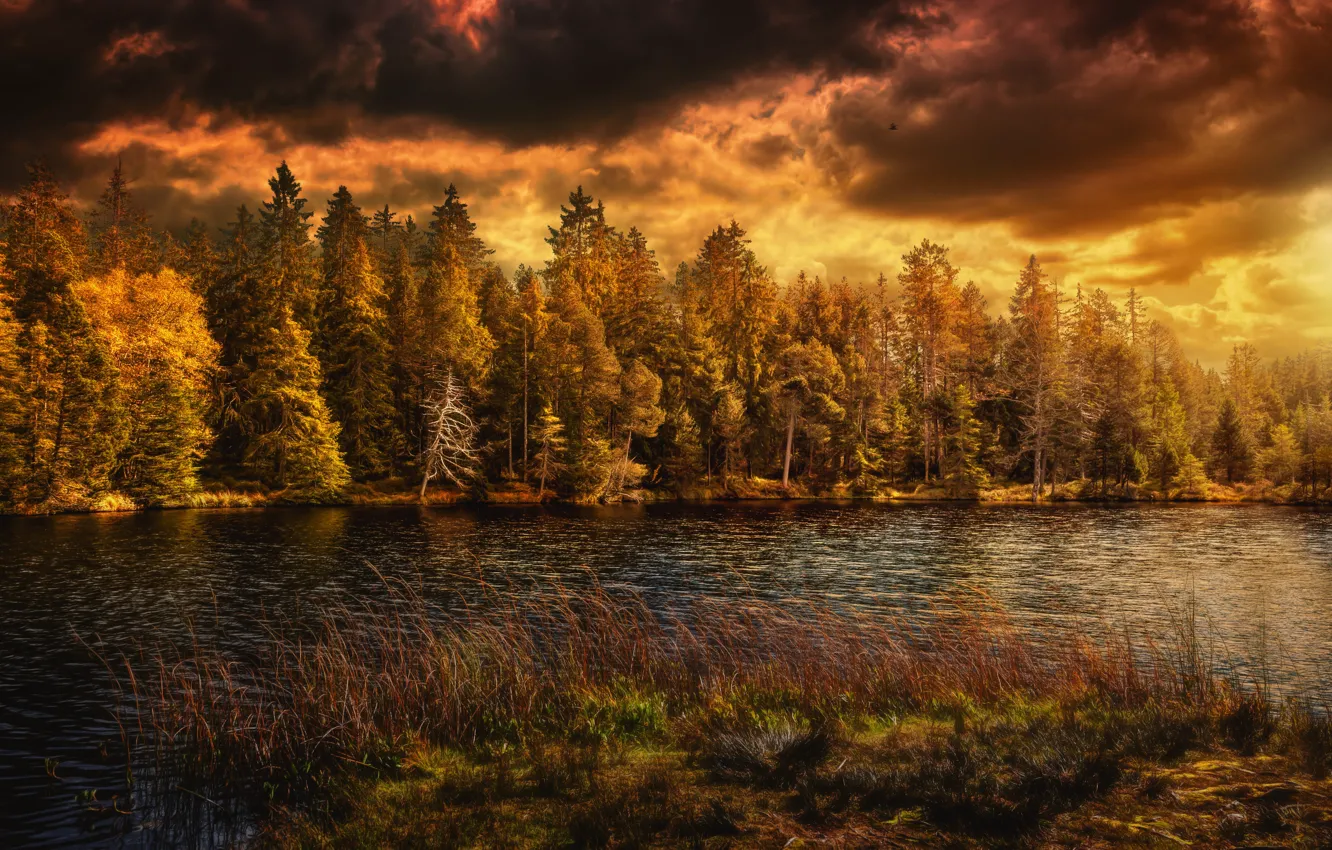 Photo wallpaper lake, Nature, Clouds, Autumn, Switzerland, Forest, Seasons