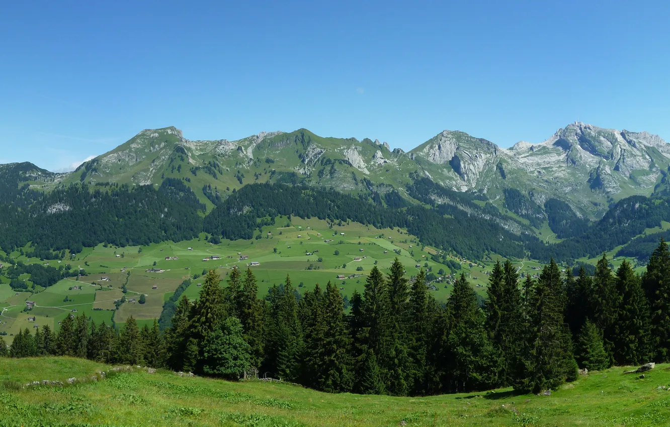 Photo wallpaper forest, the sky, grass, trees, mountains, nature, photo, hills