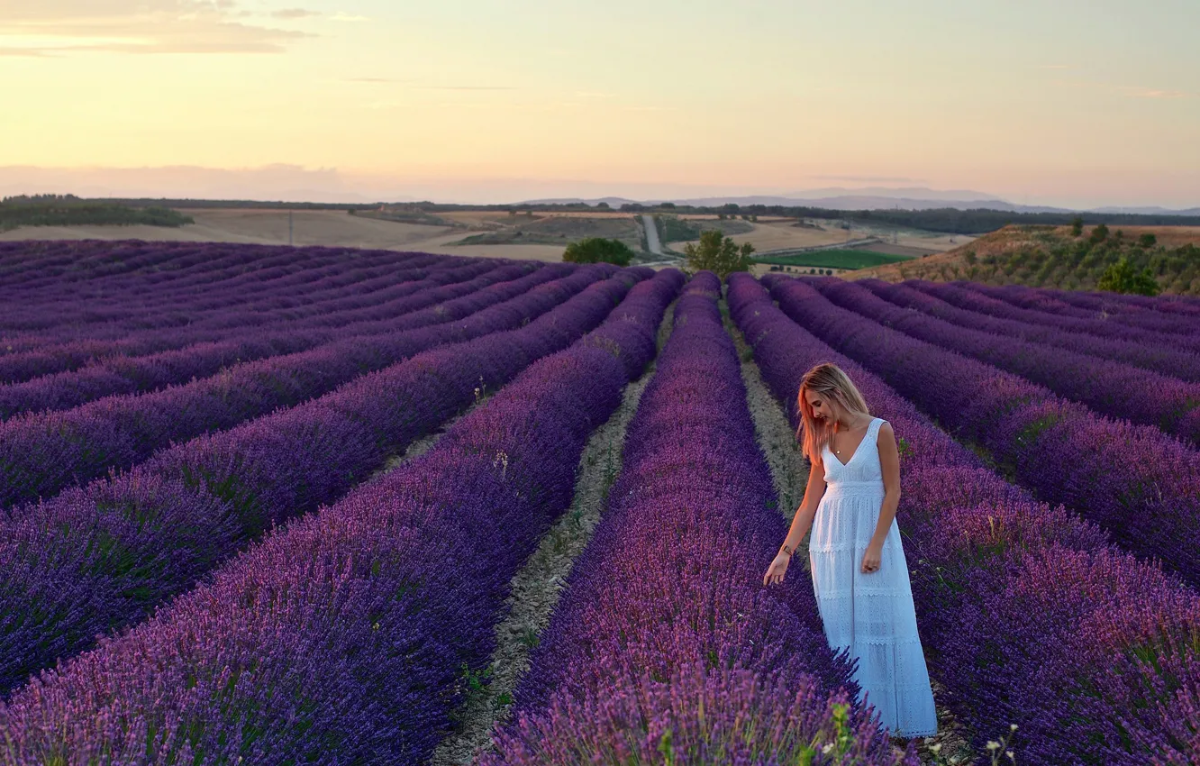 Photo wallpaper field, girl, landscape, dress, blonde, in white, nature, lavender