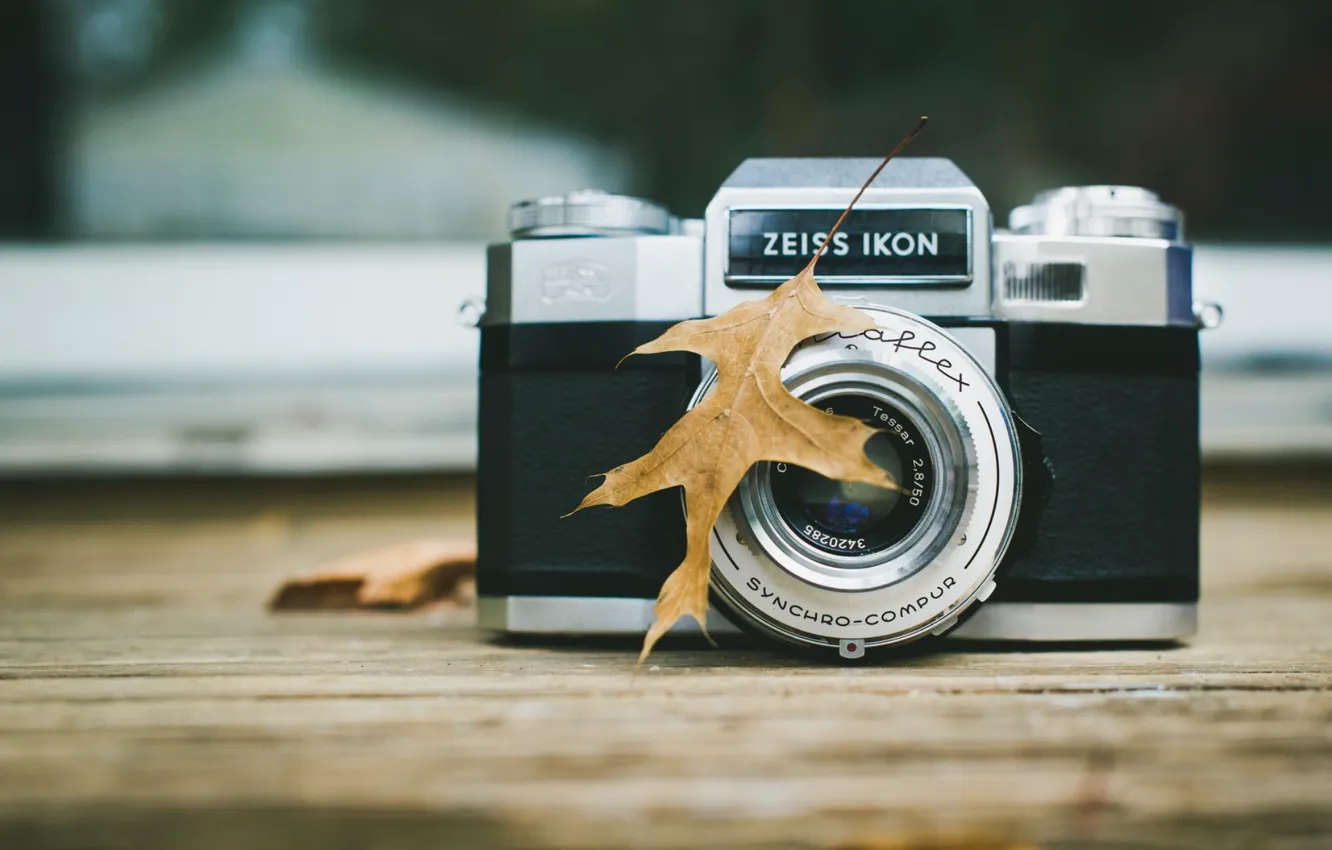 Photo wallpaper leaves, background, camera