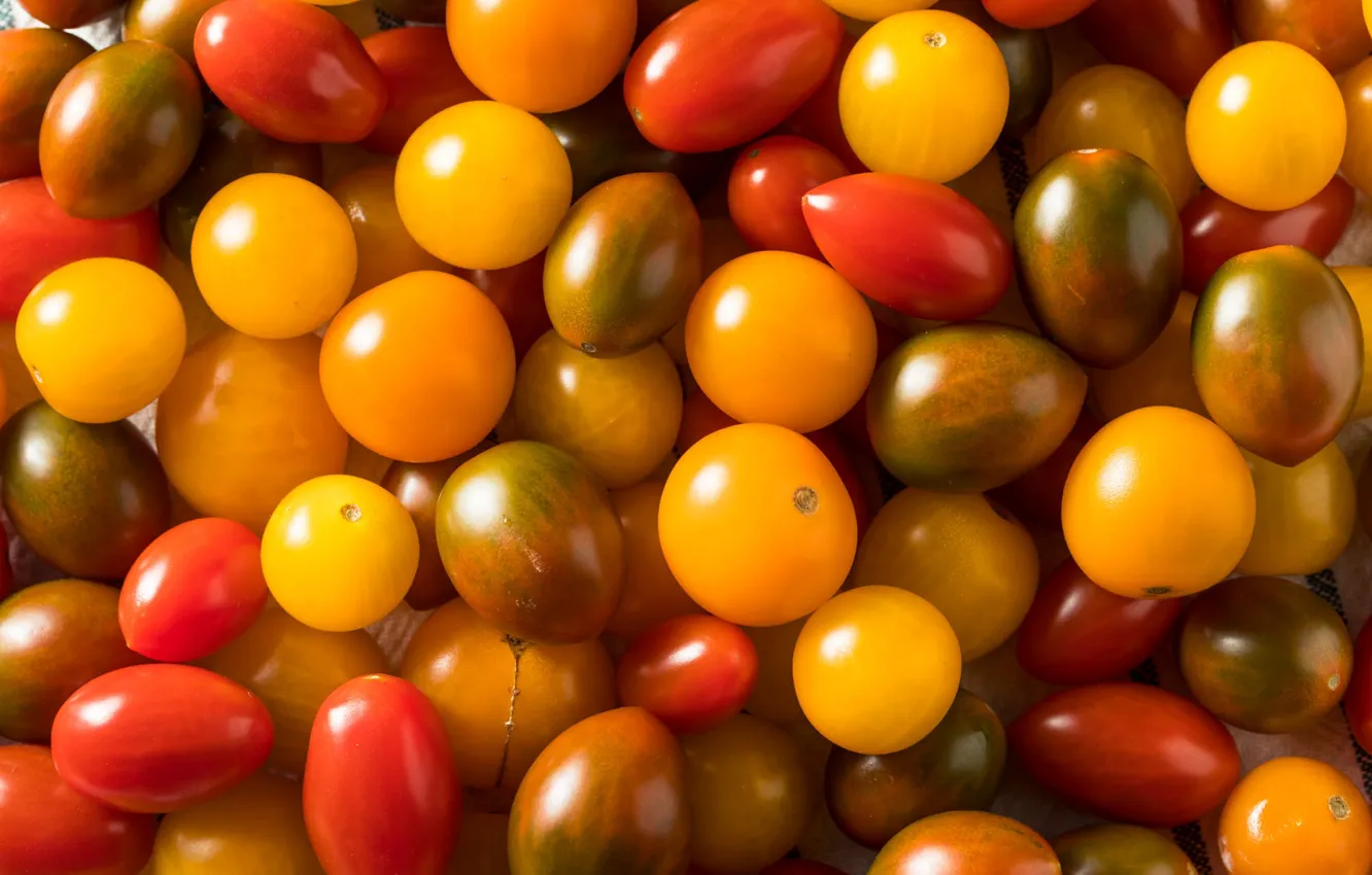 Photo wallpaper yellow, red, harvest, fruit, placer, tomatoes, a lot, tomatoes