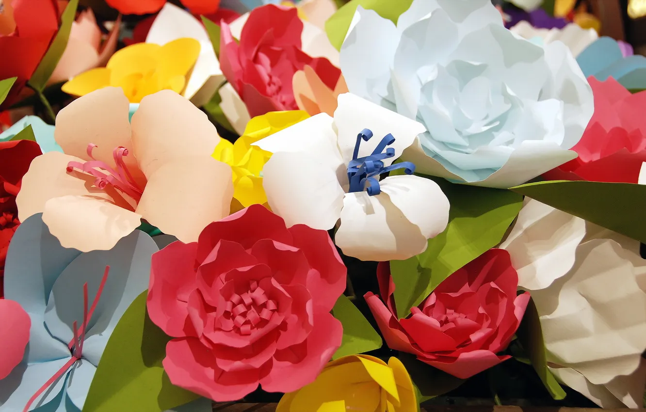 Photo wallpaper flowers, paper, background