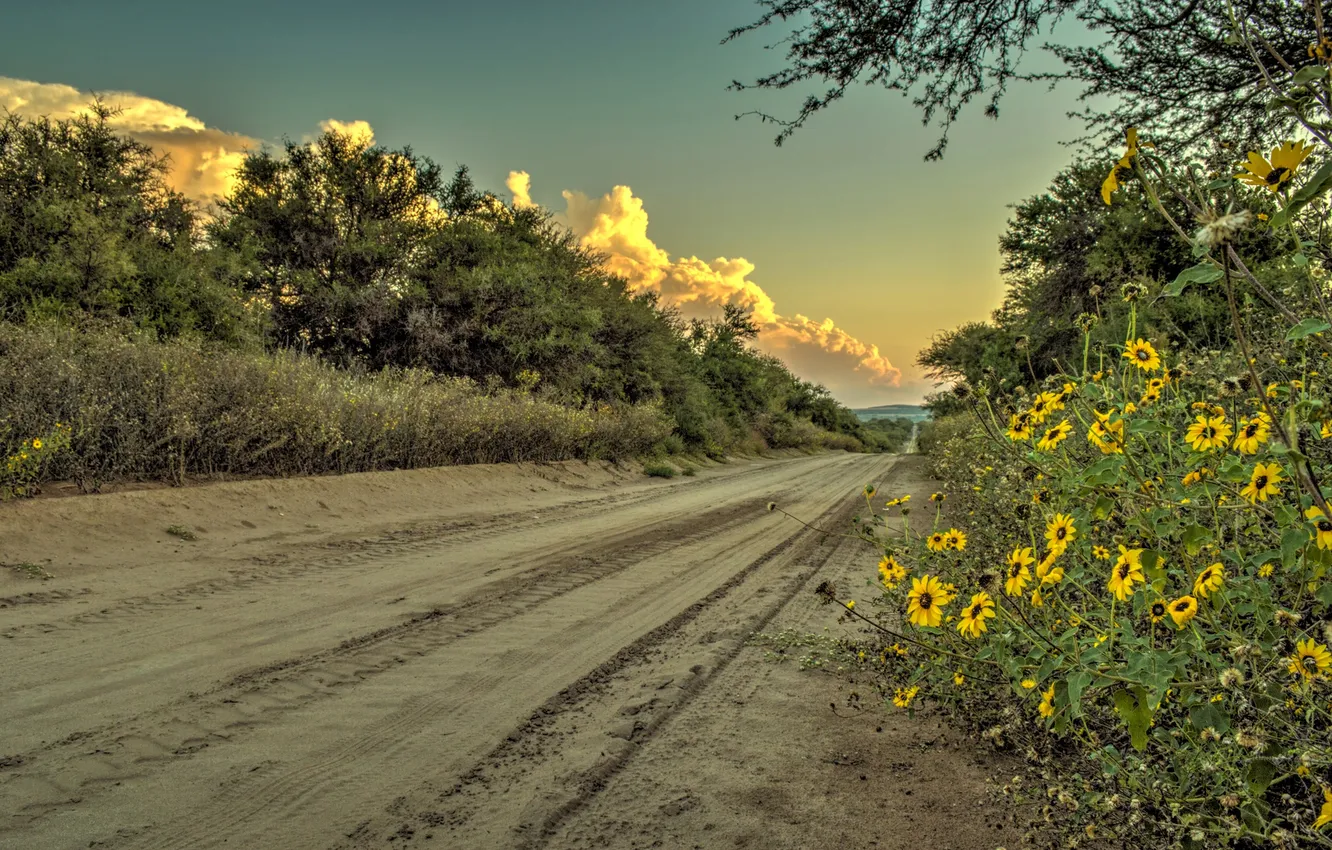 Photo wallpaper road, the sky, grass, clouds, flowers, the bushes