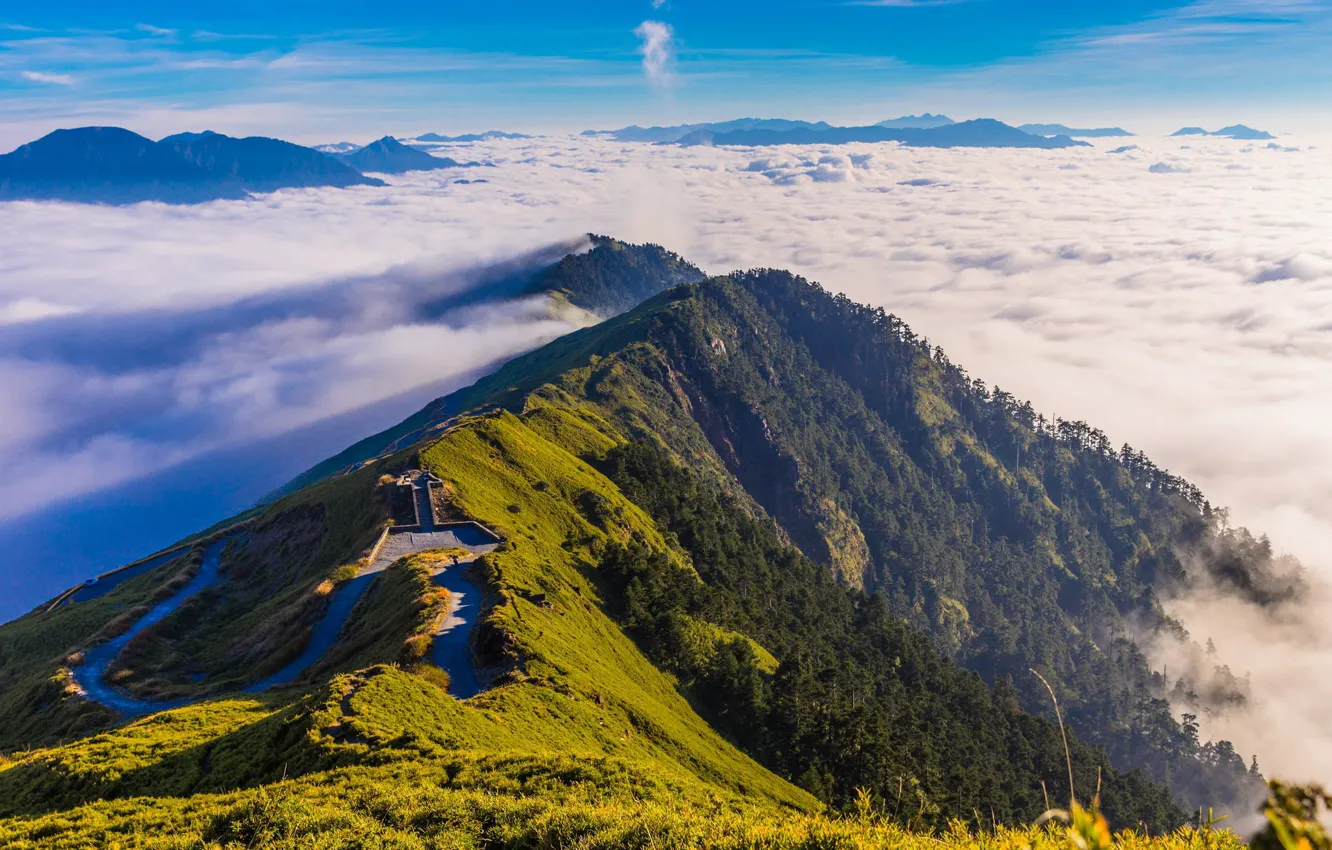 Photo wallpaper forest, clouds, mountains, nature, morning, panorama