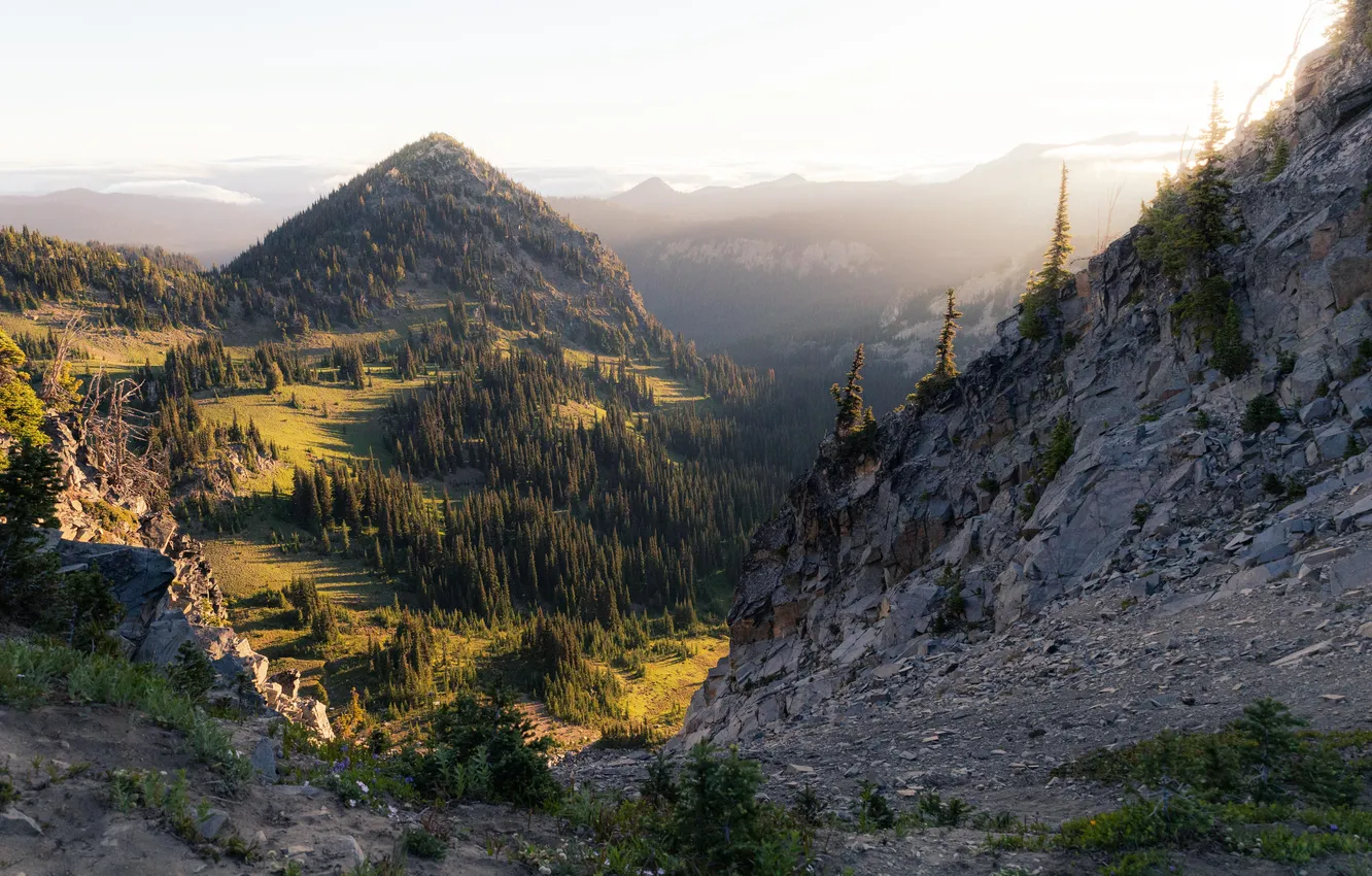 Photo wallpaper forest, mountains, mist, North America, National Park, Mount Rainier, Mountain View