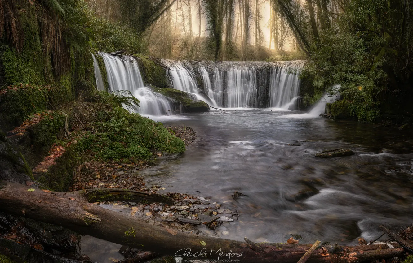 Photo wallpaper forest, nature, river, waterfall