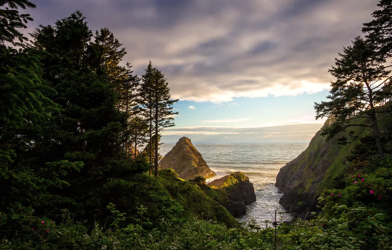 Photo wallpaper the sky, clouds, trees, nature, river, shore, Oregon, rock